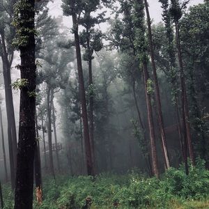 Meet your Posher, Cory